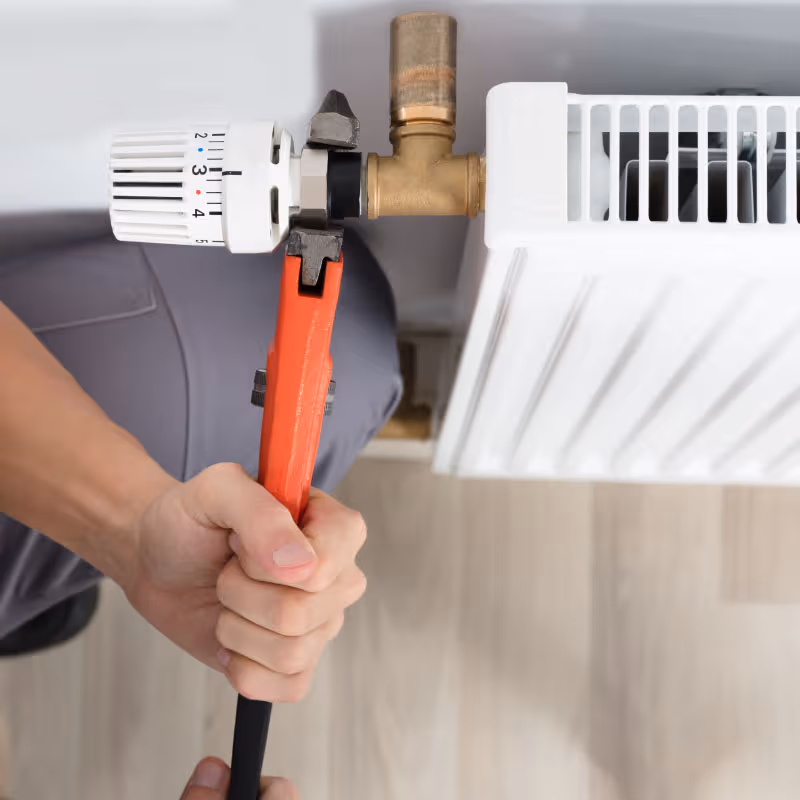 Bursa Petek Temizliği